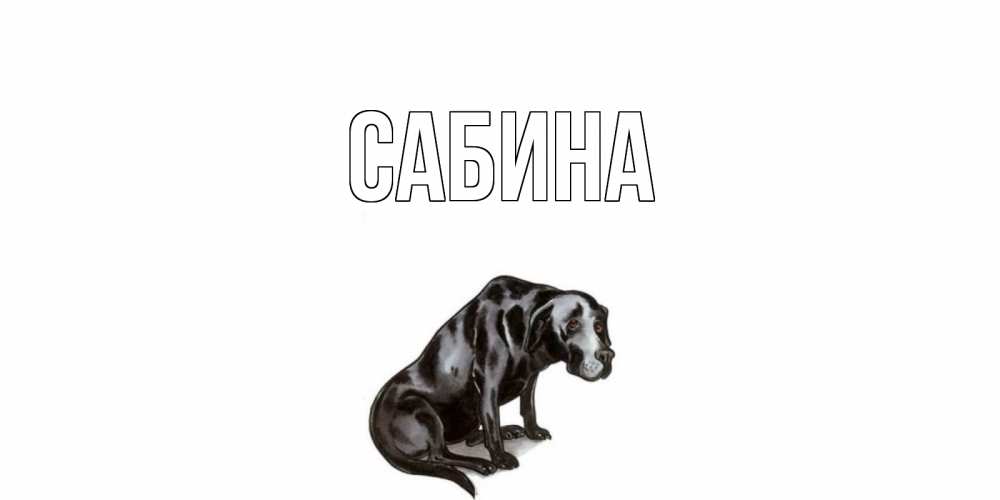 Открытка на каждый день с именем, Сабина Главная грустная собака на открытке с подписью прости меня Прикольная открытка с пожеланием онлайн скачать бесплатно 