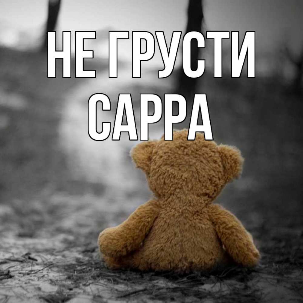 Открытка на каждый день с именем, Сарра Не грусти медведь со спин Прикольная открытка с пожеланием онлайн скачать бесплатно 