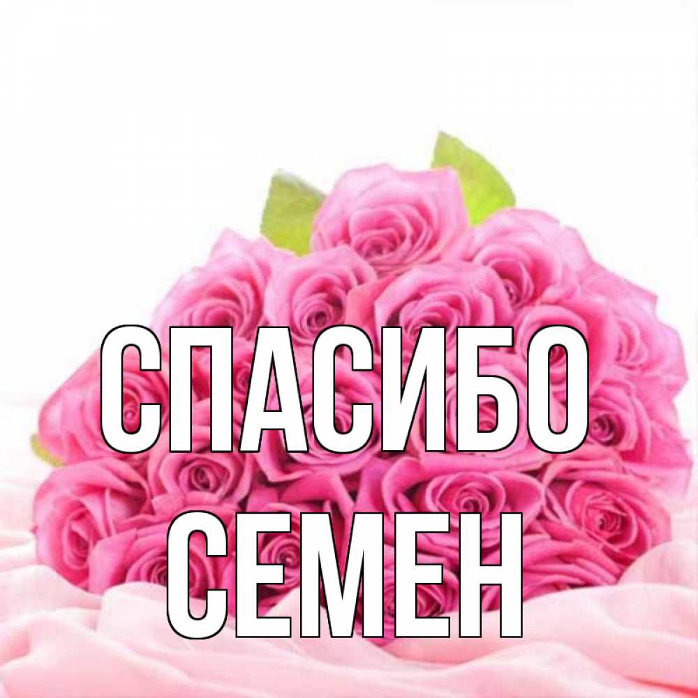 Открытка на каждый день с именем, Семен Спасибо розовые розы с подписью Прикольная открытка с пожеланием онлайн скачать бесплатно 