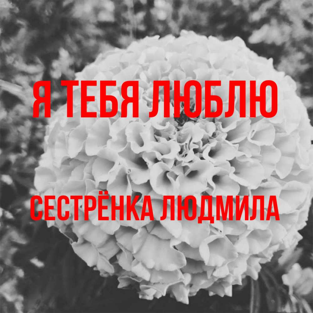 Открытка на каждый день с именем, Сестрёнка-Людмила Я тебя люблю подпись Прикольная открытка с пожеланием онлайн скачать бесплатно 