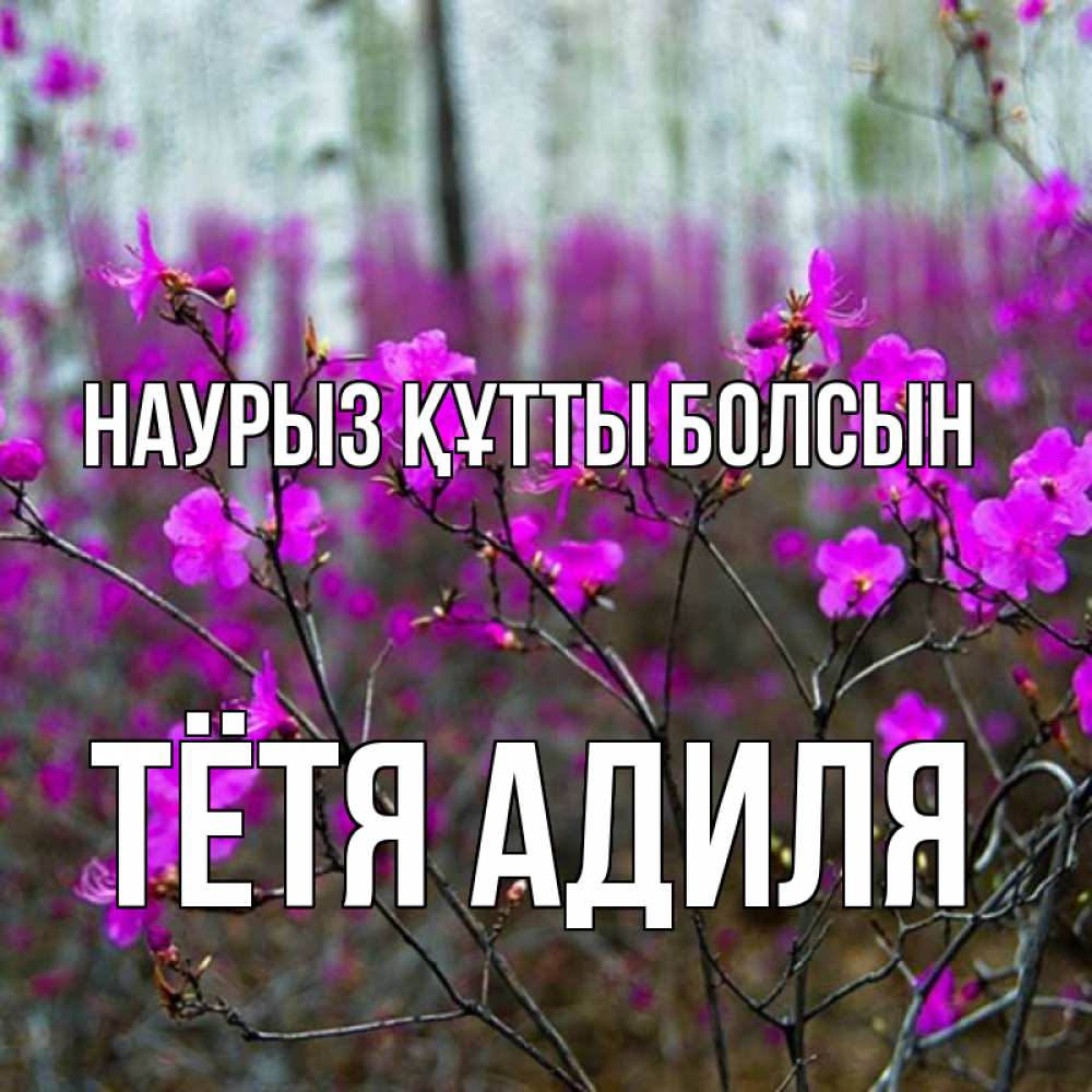 Открытка на каждый день с именем, Тётя-Адиля Наурыз құтты болсын дикие цветы Прикольная открытка с пожеланием онлайн скачать бесплатно 