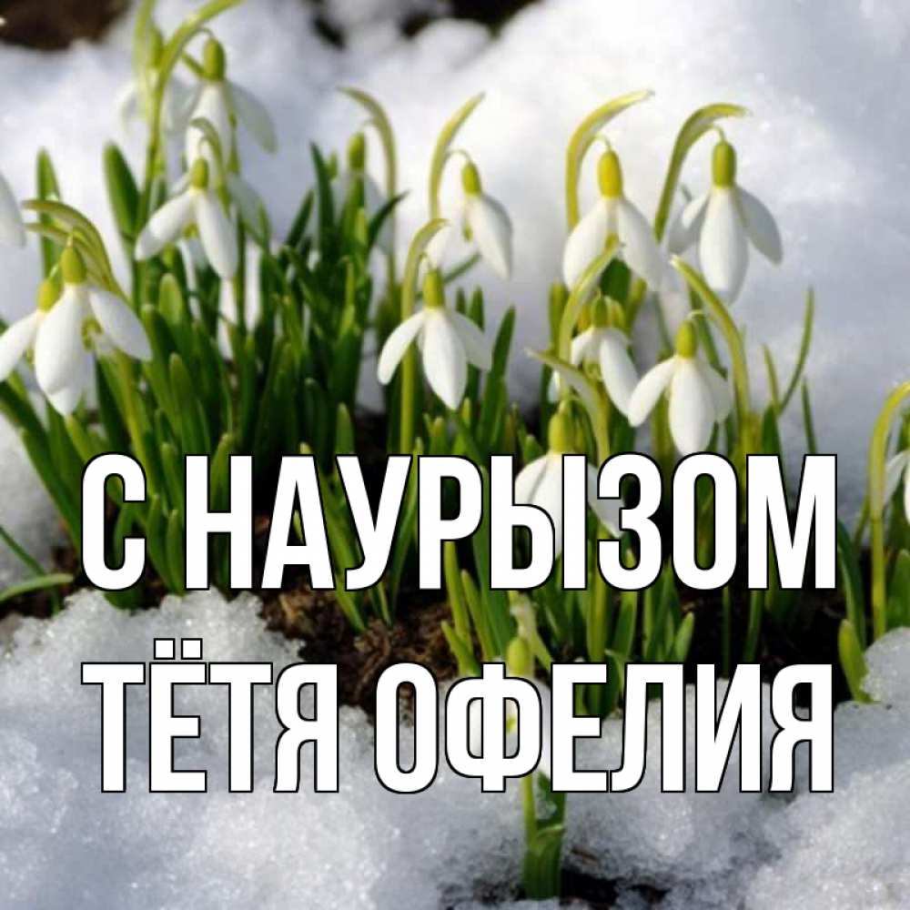 Открытка на каждый день с именем, Тётя-Офелия С наурызом цветы весенние Прикольная открытка с пожеланием онлайн скачать бесплатно 