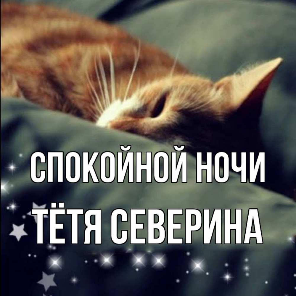 Открытка на каждый день с именем, Тётя-Северина Спокойной ночи кроватка Прикольная открытка с пожеланием онлайн скачать бесплатно 