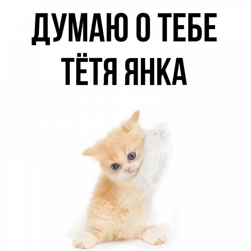 Открытка на каждый день с именем, Тётя-Янка Думаю о тебе зверушки и милота Прикольная открытка с пожеланием онлайн скачать бесплатно 