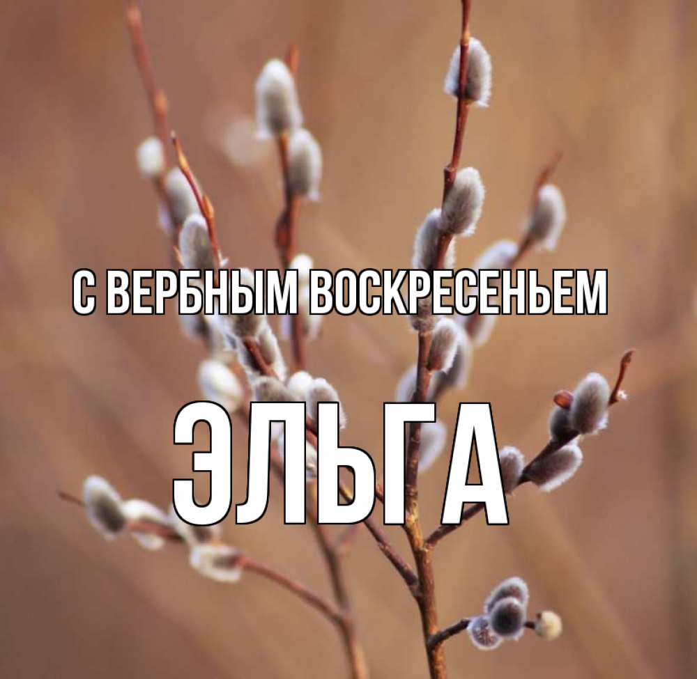 Открытка на каждый день с именем, Эльга С вербным воскресеньем верба Прикольная открытка с пожеланием онлайн скачать бесплатно 