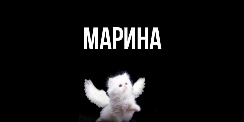 Открытка на каждый день с именем, Марина Главная Кот ангел Прикольная открытка с пожеланием онлайн скачать бесплатно 