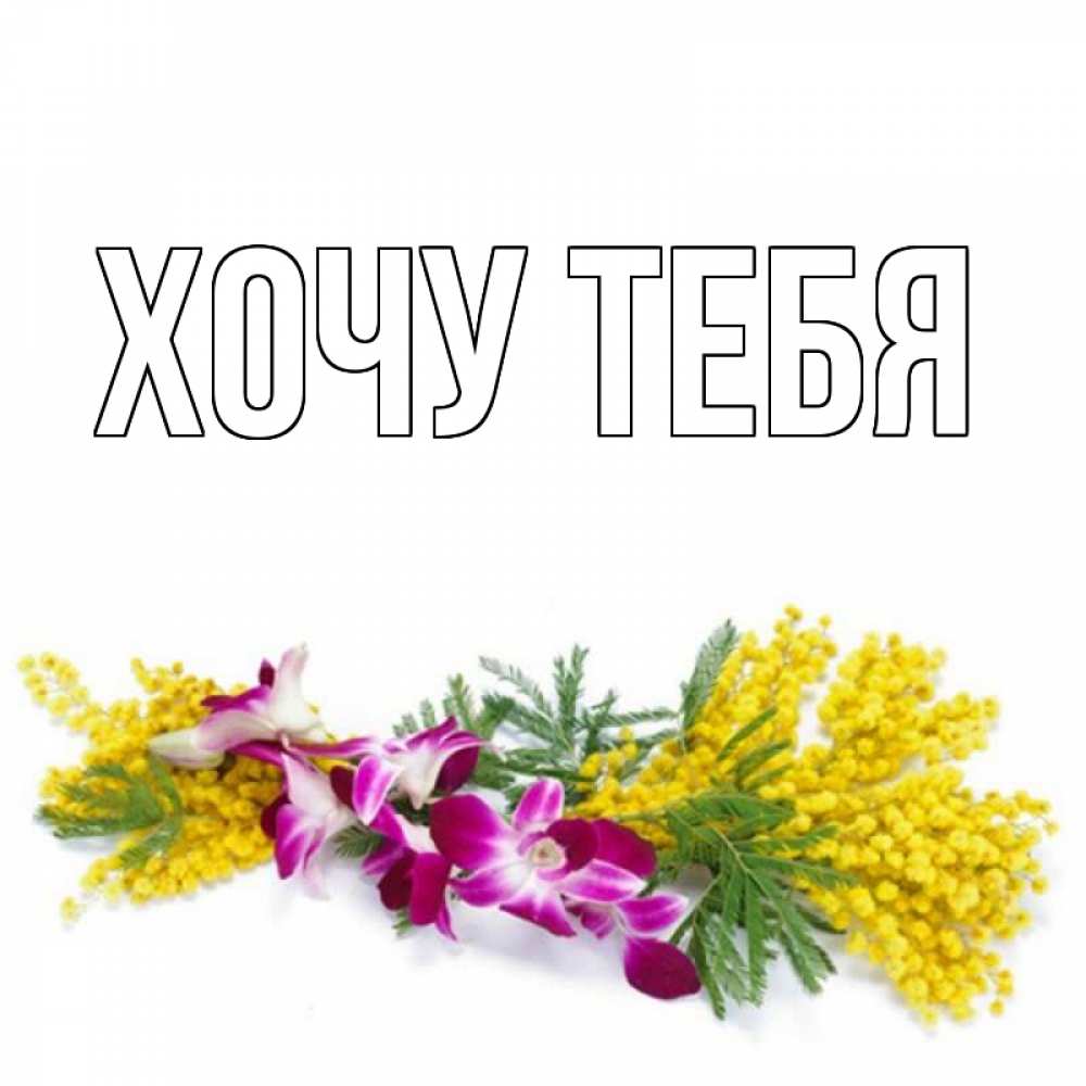 Открытка на каждый день с именем, Хочу-тебя Главная открытка на международный женский день с цветами  1 Прикольная открытка с пожеланием онлайн скачать бесплатно 