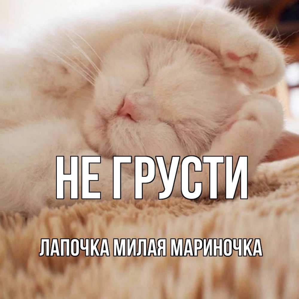 Ты лапочка картинки