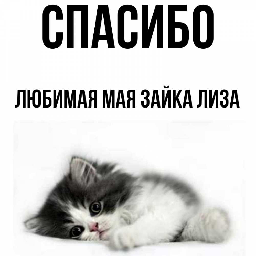 мая любить имя. мая любить имя. любимый мая. лиза я тебя люблю. стихи на имя таисия на день валентина.