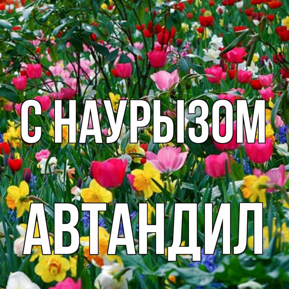 Открытка на каждый день с именем, Автандил С наурызом с наурызом праздником весны поздравления для женщины Прикольная открытка с пожеланием онлайн скачать бесплатно 