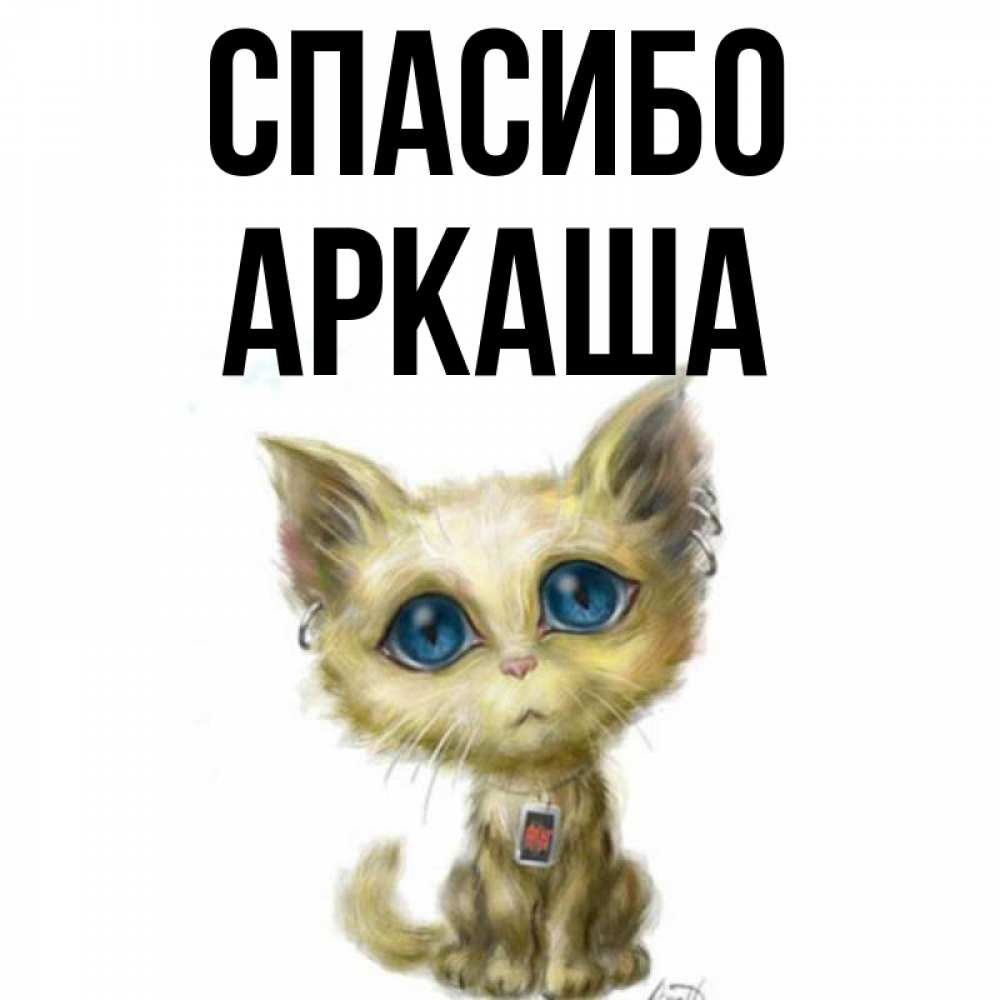 Открытка на каждый день с именем, Аркаша Спасибо рисованный кот благодарит вас Прикольная открытка с пожеланием онлайн скачать бесплатно 