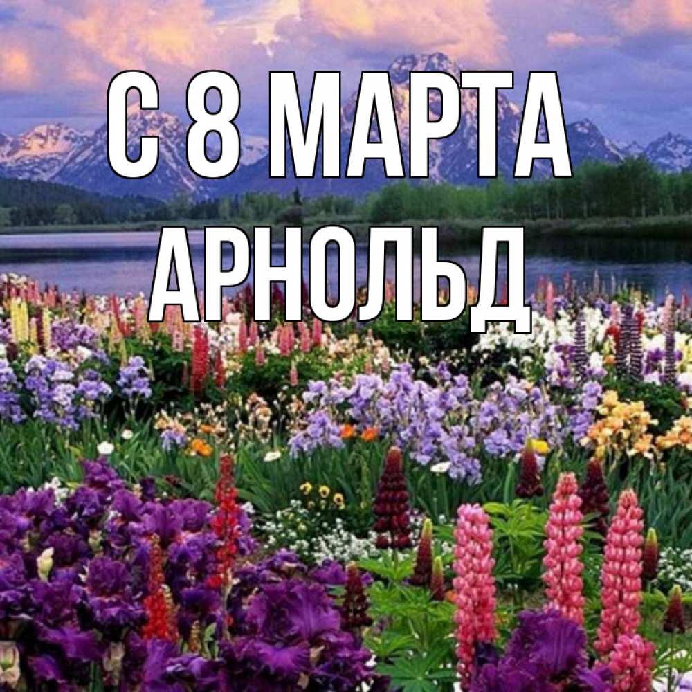 Открытка на каждый день с именем, Арнольд С 8 МАРТА международный женский день Прикольная открытка с пожеланием онлайн скачать бесплатно 