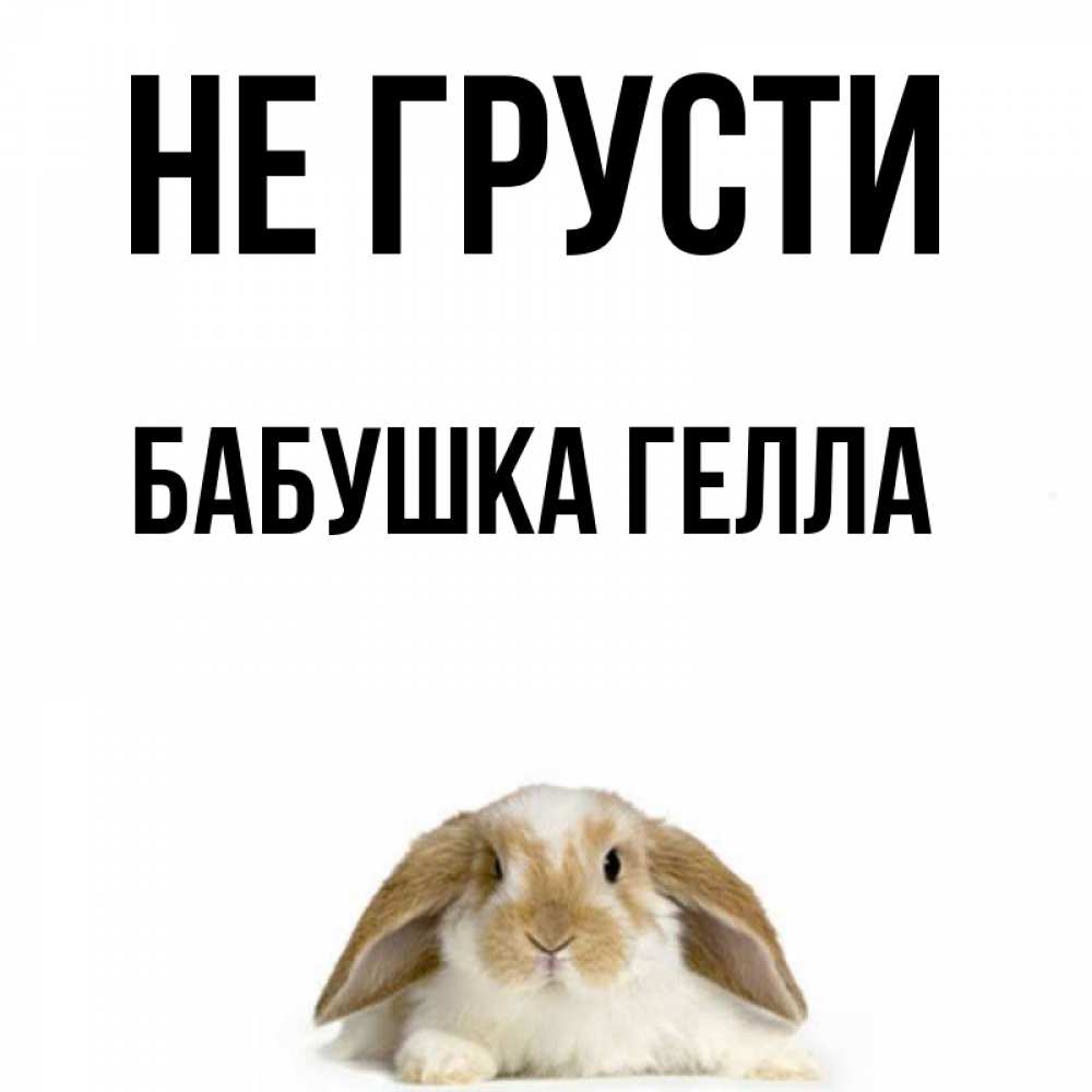 Открытка на каждый день с именем, Бабушка-Гелла Не грусти коричнево белый заяц с большими ушками Прикольная открытка с пожеланием онлайн скачать бесплатно 