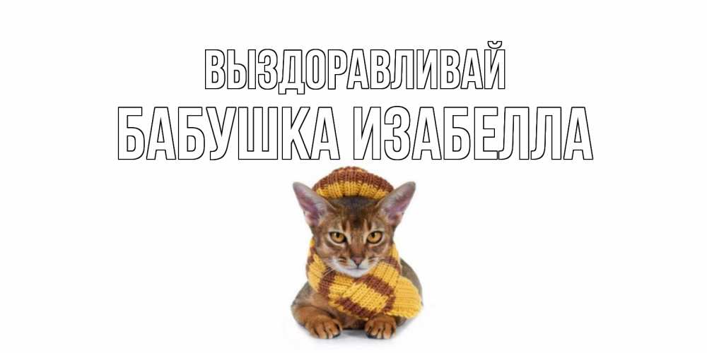 Открытка на каждый день с именем, Бабушка-Изабелла Выздоравливай родные не болейте Прикольная открытка с пожеланием онлайн скачать бесплатно 