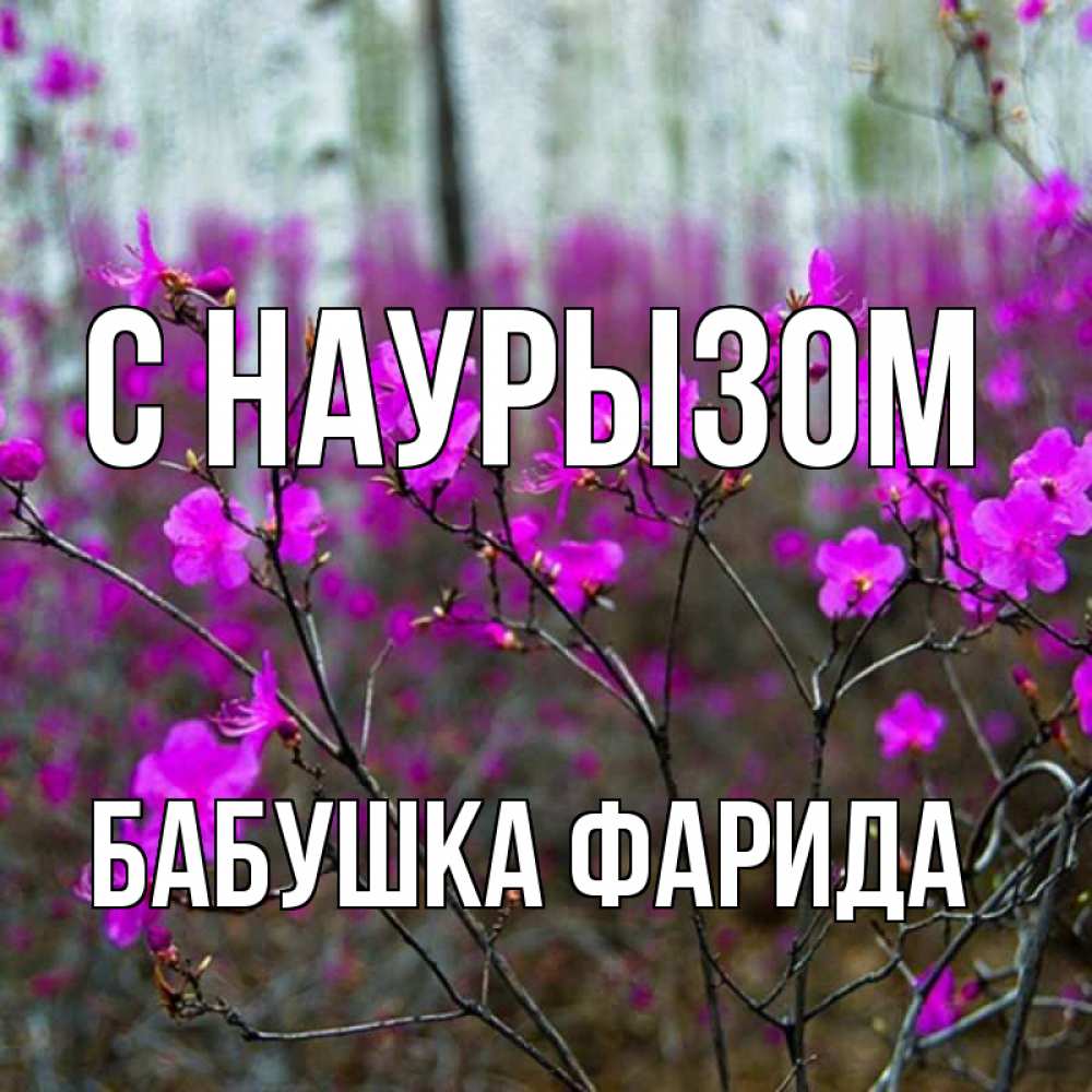 Открытка на каждый день с именем, Бабушка-Фарида С наурызом дикие цветы Прикольная открытка с пожеланием онлайн скачать бесплатно 