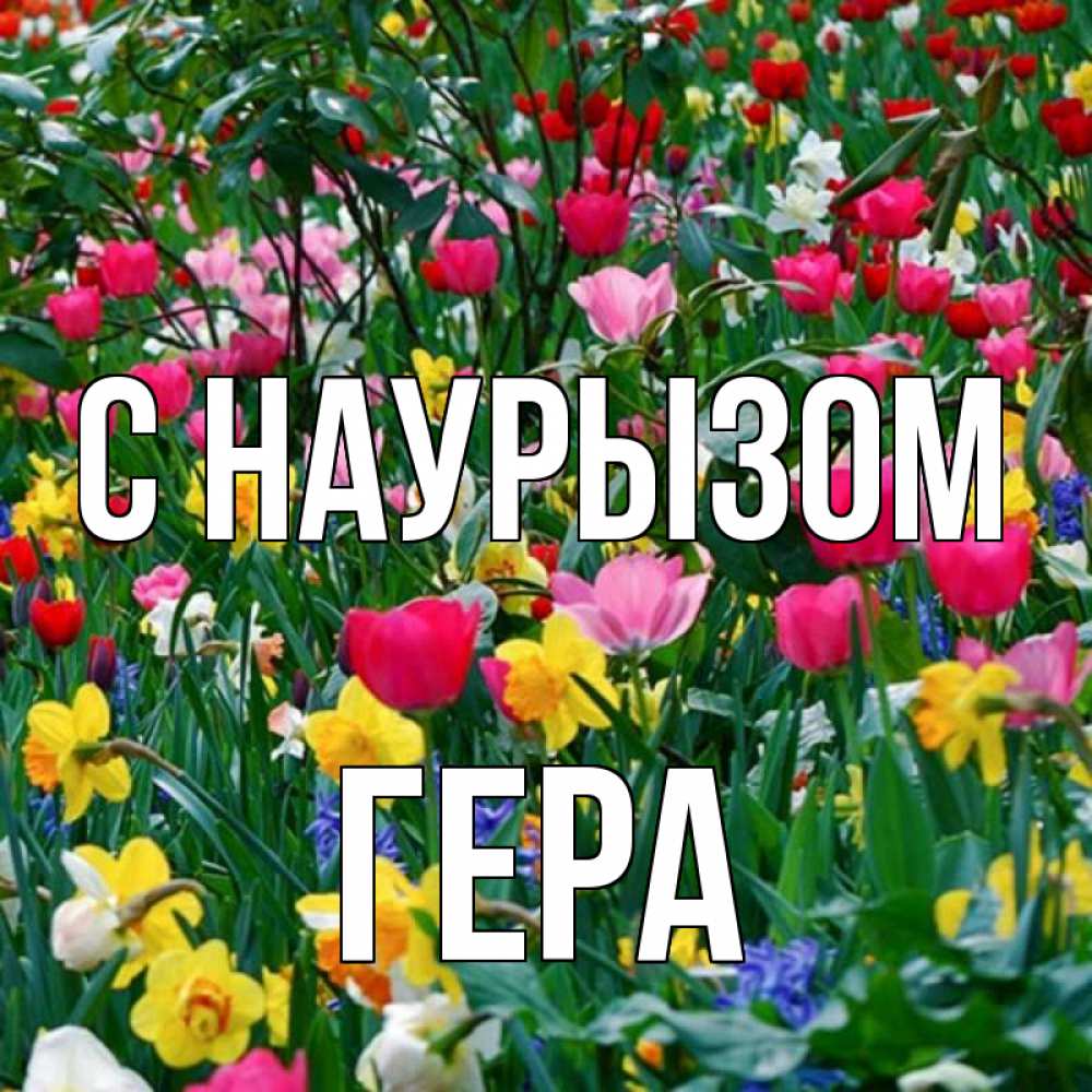 Открытка на каждый день с именем, Гера С наурызом с наурызом праздником весны поздравления для женщины Прикольная открытка с пожеланием онлайн скачать бесплатно 