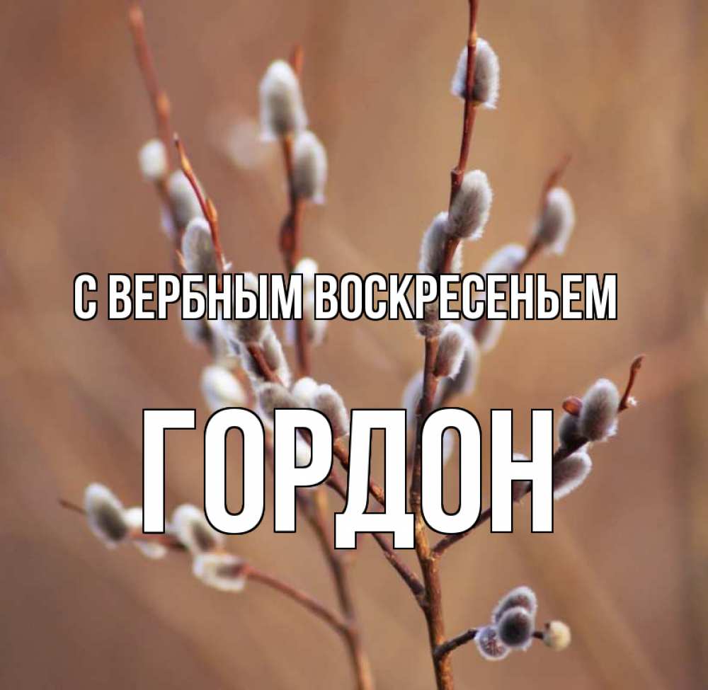 Открытка на каждый день с именем, Гордон С вербным воскресеньем верба Прикольная открытка с пожеланием онлайн скачать бесплатно 