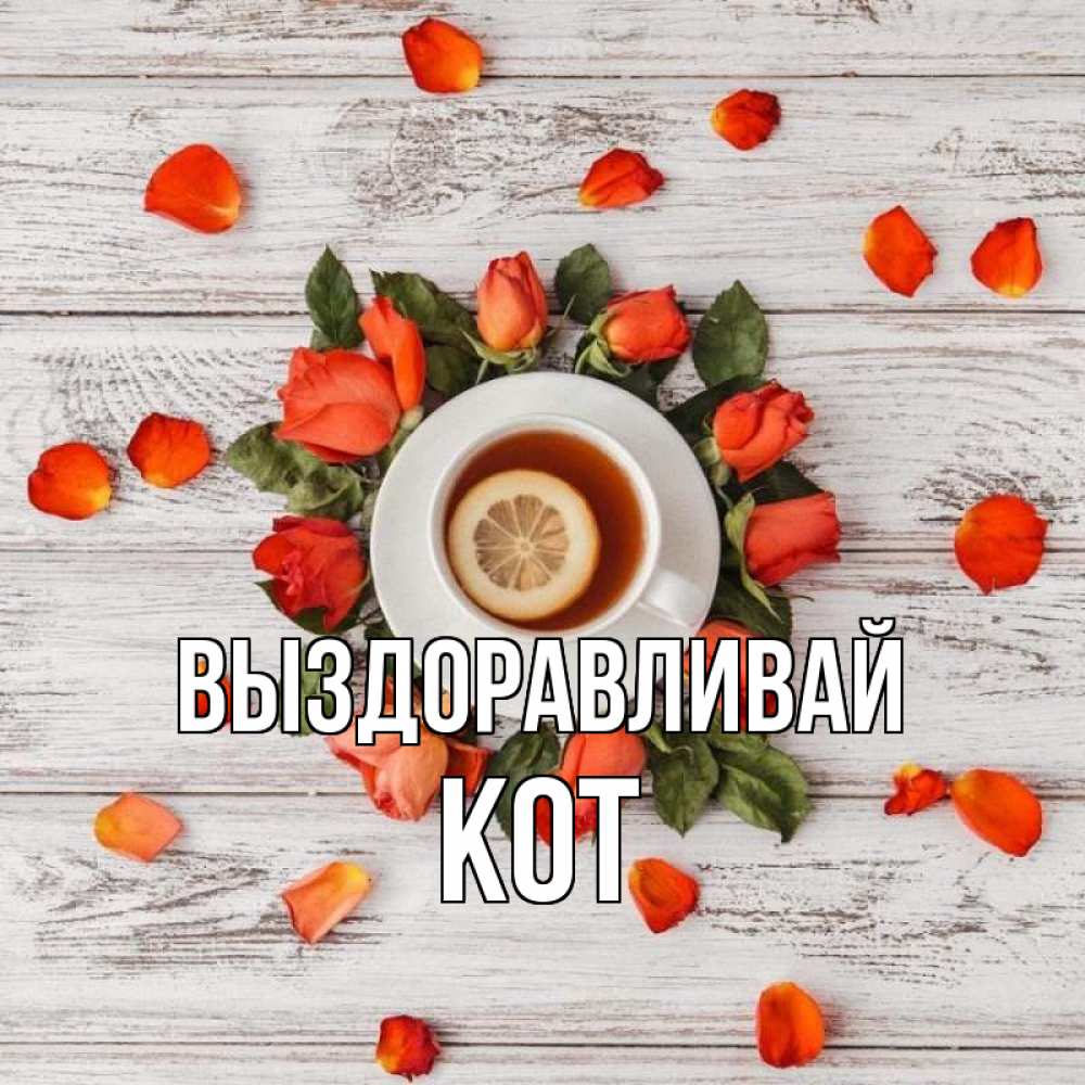 Открытка на каждый день с именем, Кот Выздоравливай фон из досок Прикольная открытка с пожеланием онлайн скачать бесплатно 
