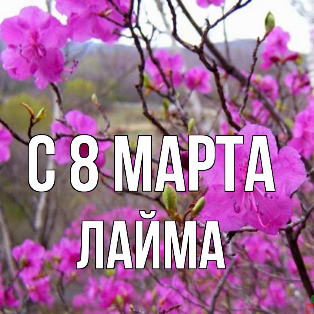 Открытка на каждый день с именем, Лайма С 8 марта международный женский день Прикольная открытка с пожеланием онлайн скачать бесплатно 