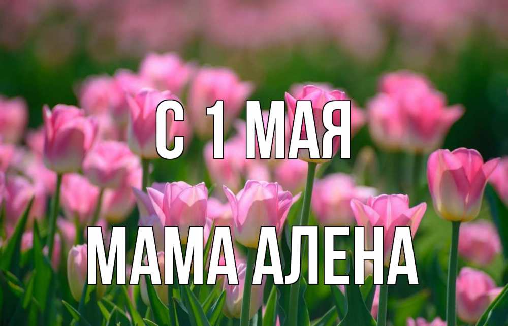 Открытка на каждый день с именем, Мама-Алена С 1 мая С 1 мая Прикольная открытка с пожеланием онлайн скачать бесплатно 