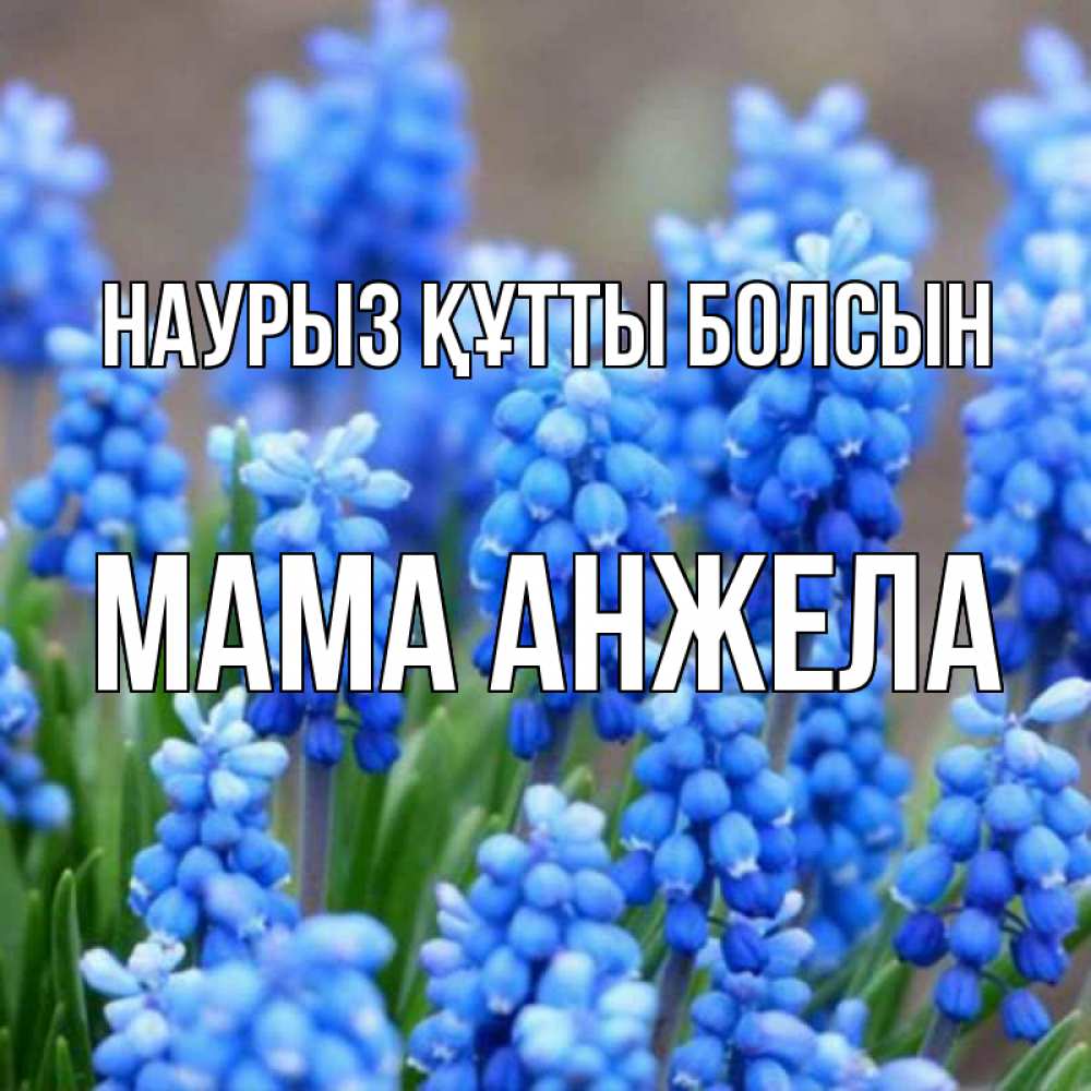 Открытка на каждый день с именем, Мама-Анжела Наурыз құтты болсын Поздравительная открытка для женщин с цветами на праздничную дату Прикольная открытка с пожеланием онлайн скачать бесплатно 
