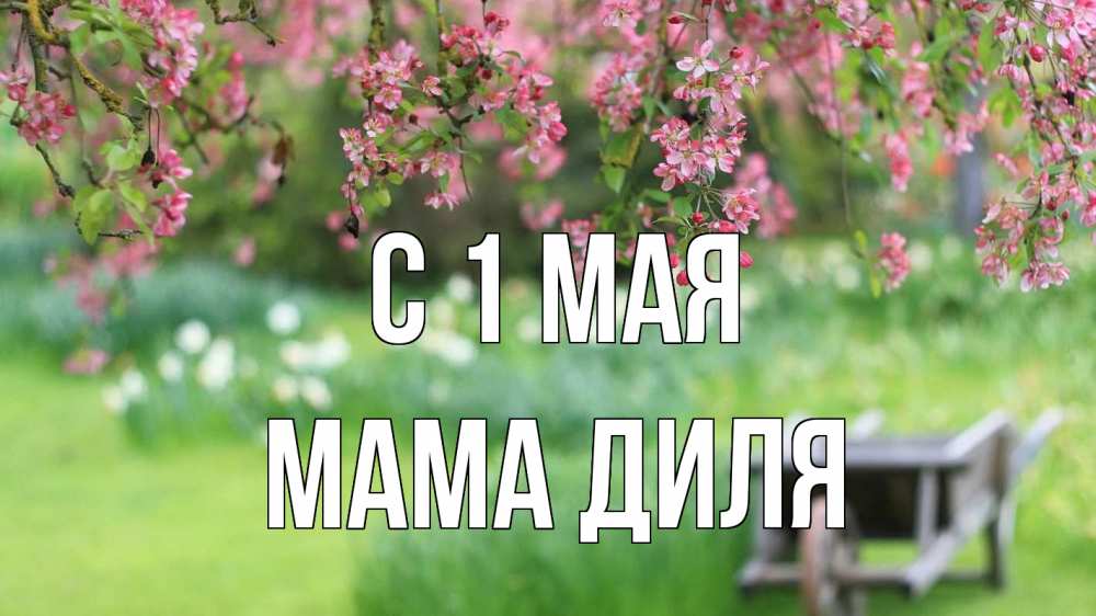 Открытка на каждый день с именем, Мама-Диля С 1 мая С 1 мая Прикольная открытка с пожеланием онлайн скачать бесплатно 