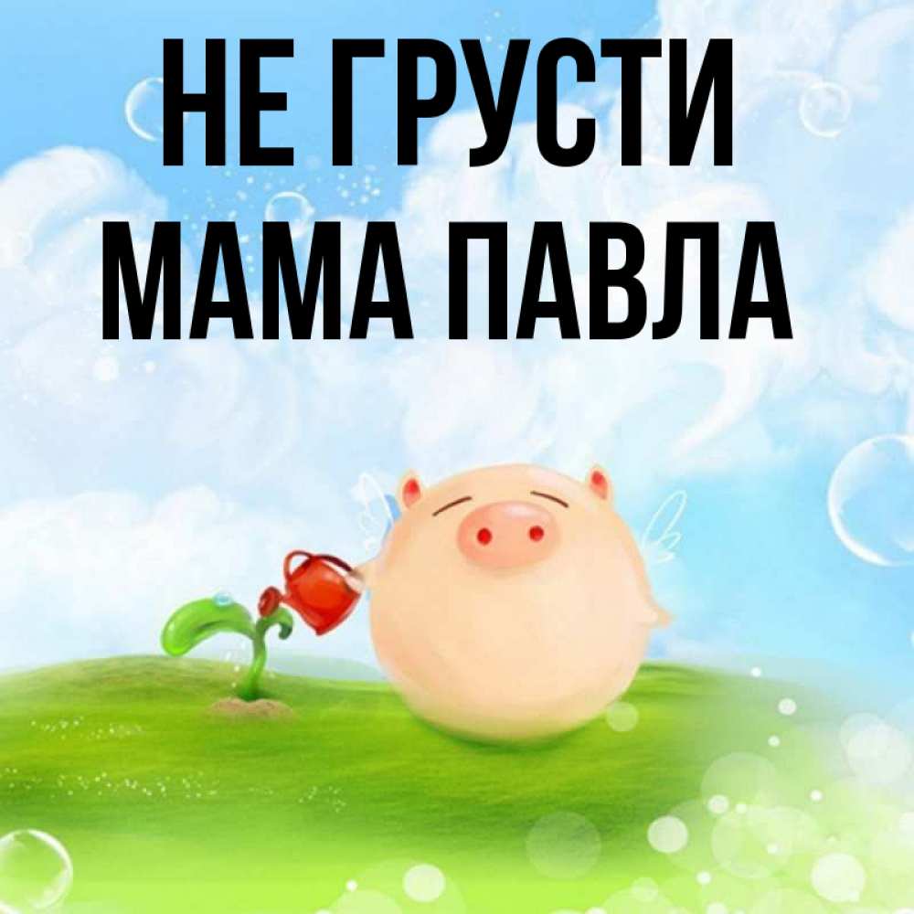 Открытка на каждый день с именем, Мама-Павла Не грусти поливает цветок порося Прикольная открытка с пожеланием онлайн скачать бесплатно 