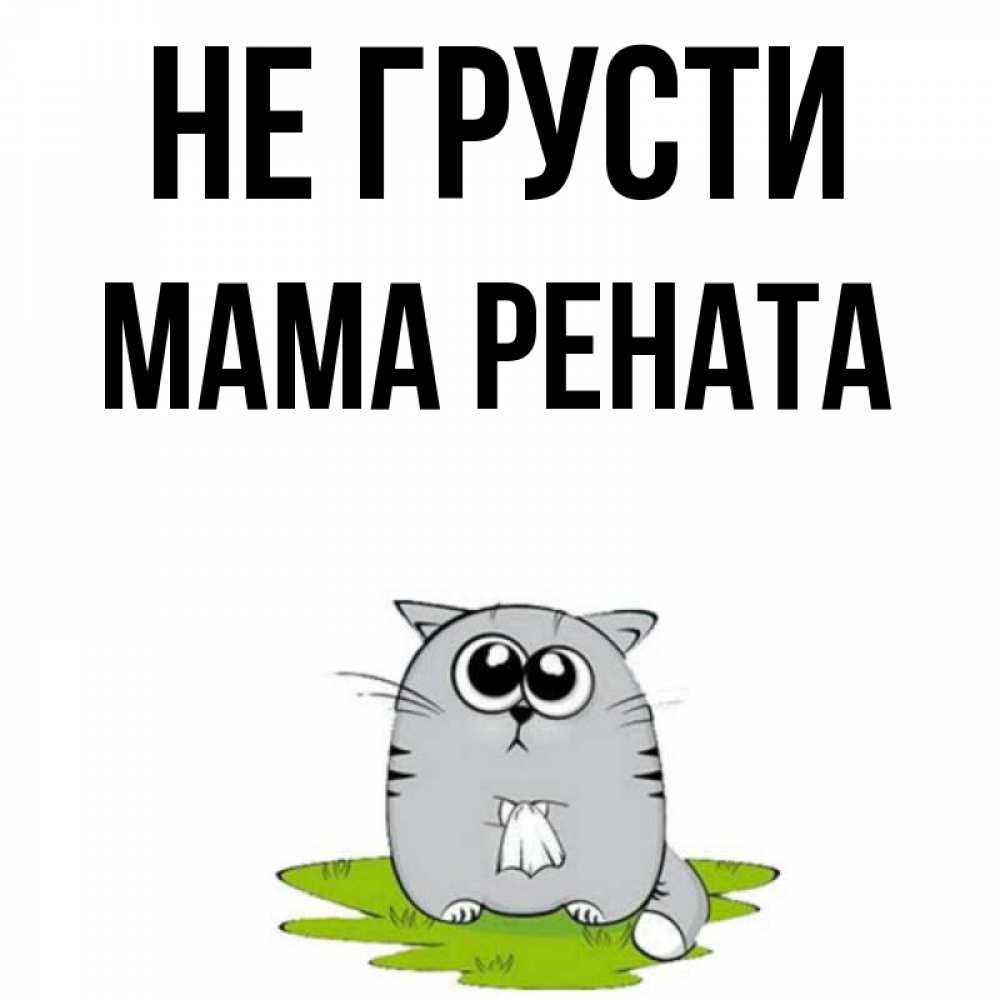 Открытка на каждый день с именем, Мама-Рената Не грусти грустный котяра Прикольная открытка с пожеланием онлайн скачать бесплатно 