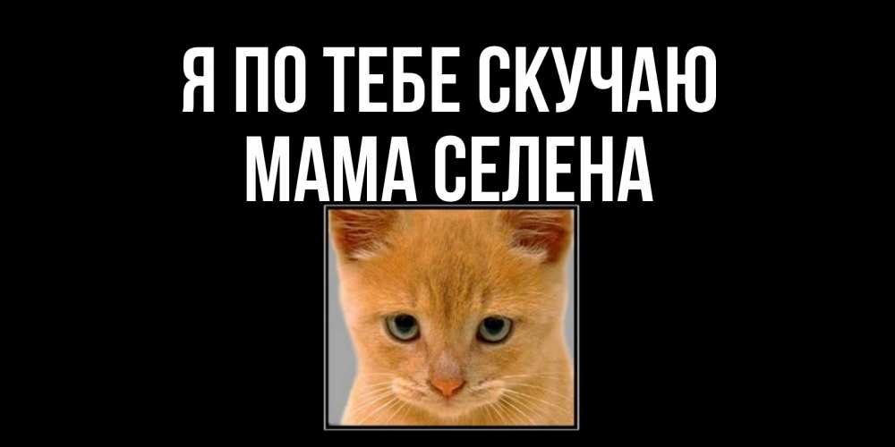 Открытка на каждый день с именем, Мама-Селена Я по тебе скучаю открытки рыжий котенок скучает по тебе Прикольная открытка с пожеланием онлайн скачать бесплатно 