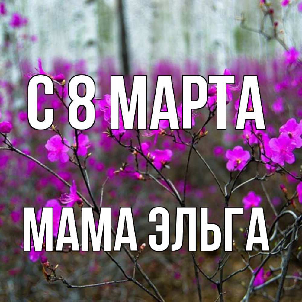 Открытка на каждый день с именем, Мама-Эльга С 8 МАРТА дикие цветы Прикольная открытка с пожеланием онлайн скачать бесплатно 