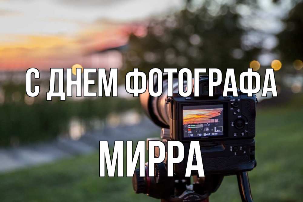 Открытка на каждый день с именем, Мирра С днем фотографа с днем фотографа Прикольная открытка с пожеланием онлайн скачать бесплатно 