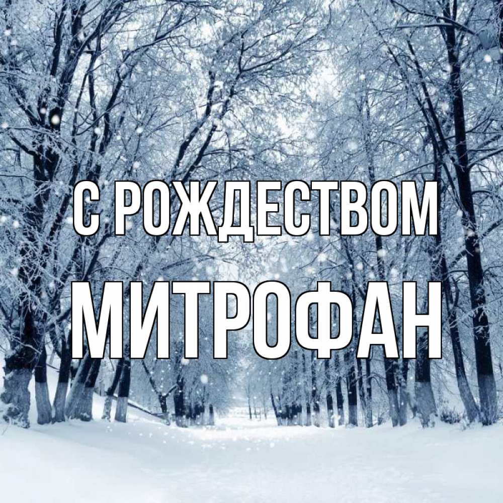 Открытка на каждый день с именем, Митрофан С рождеством снег, лес, парк Прикольная открытка с пожеланием онлайн скачать бесплатно 
