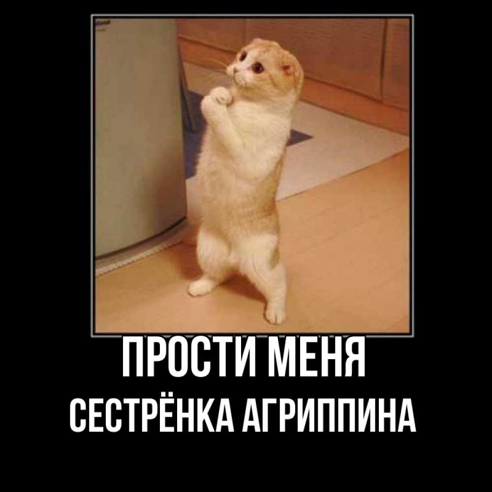 Открытка на каждый день с именем, Сестрёнка-Агриппина Прости меня открытка с милым несчастным котиком просящим прощения Прикольная открытка с пожеланием онлайн скачать бесплатно 