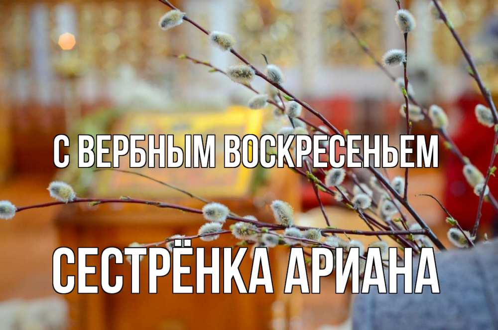 Открытка на каждый день с именем, Сестрёнка-Ариана С вербным воскресеньем верба Прикольная открытка с пожеланием онлайн скачать бесплатно 