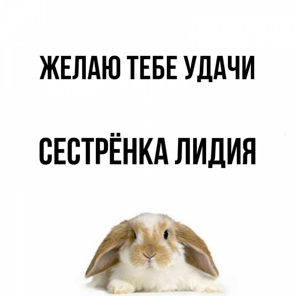 Открытка на каждый день с именем, Сестрёнка-Лидия Желаю тебе удачи открытки с произвольным текстом который можно вставить в открытку и создать ее самостоятельно бесплатно онлайн Прикольная открытка с пожеланием онлайн скачать бесплатно 