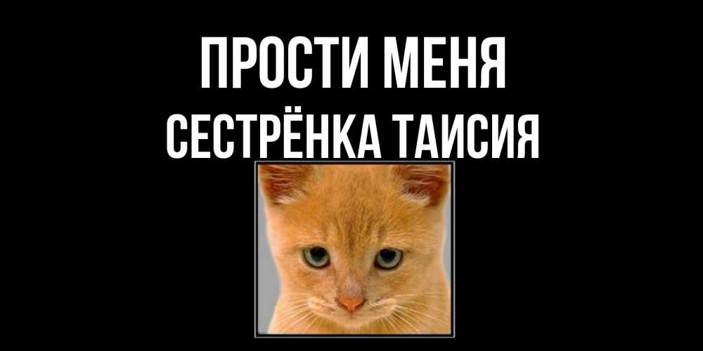 Открытка на каждый день с именем, Сестрёнка-Таисия Прости меня рыжий грустный кот просит прощения Прикольная открытка с пожеланием онлайн скачать бесплатно 
