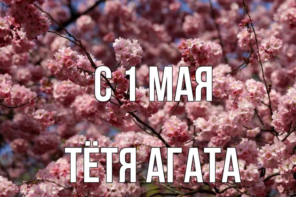 Открытка на каждый день с именем, Тётя-Агата С 1 мая С 1 мая Прикольная открытка с пожеланием онлайн скачать бесплатно 