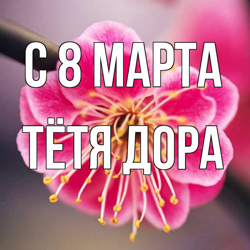 Открытка на каждый день с именем, Тётя-Дора С 8 МАРТА цветы Прикольная открытка с пожеланием онлайн скачать бесплатно 