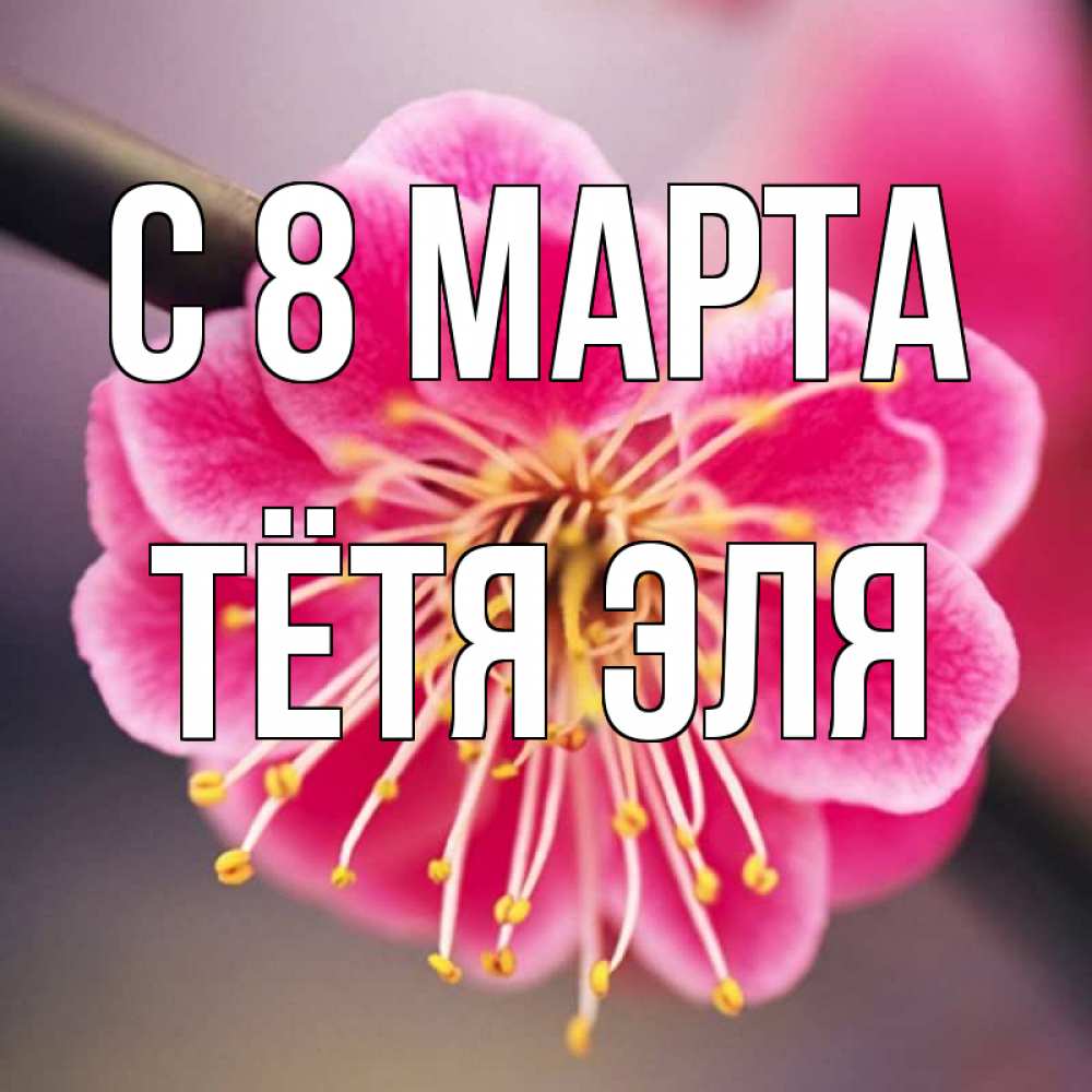 Открытка на каждый день с именем, Тётя-Эля С 8 МАРТА цветы Прикольная открытка с пожеланием онлайн скачать бесплатно 