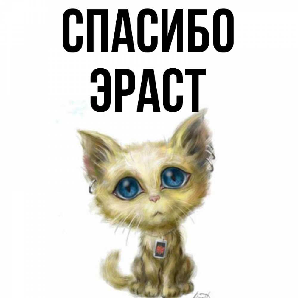 Открытка на каждый день с именем, Эраст Спасибо рисованный кот благодарит вас Прикольная открытка с пожеланием онлайн скачать бесплатно 