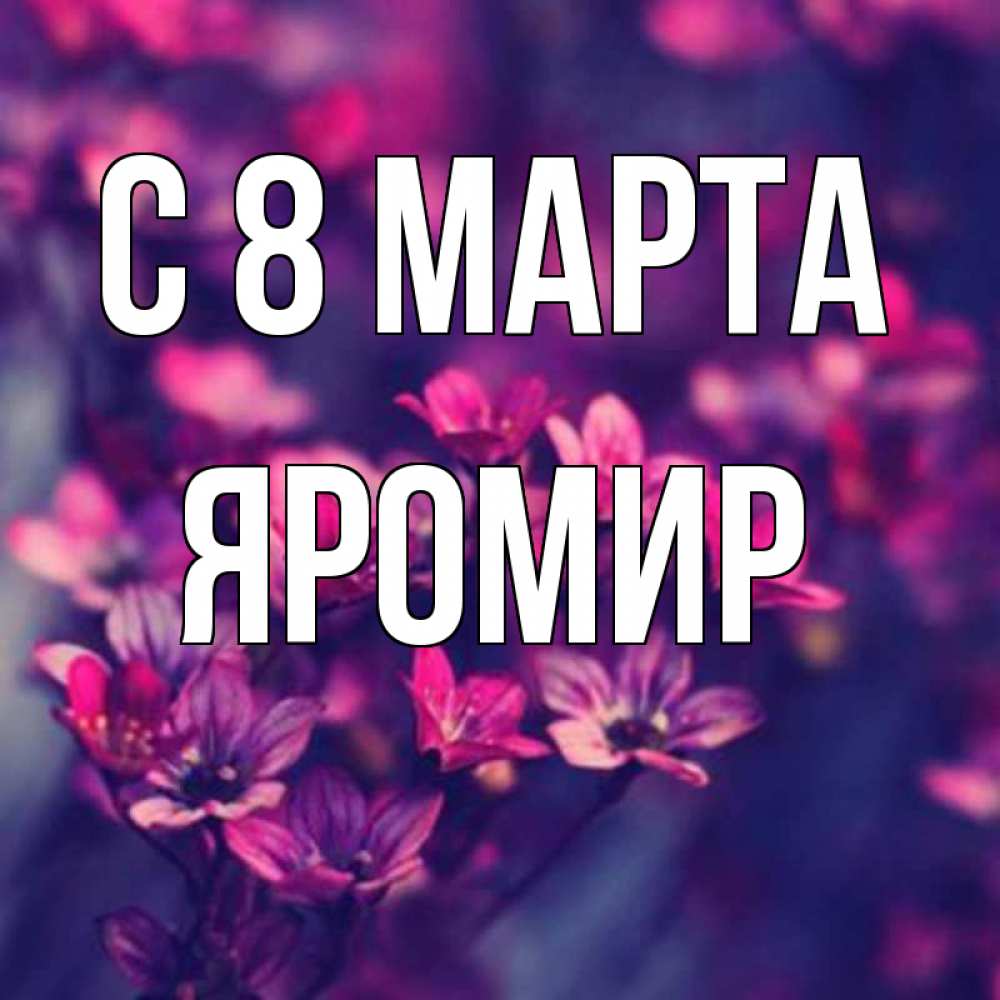 Открытка на каждый день с именем, Яромир С 8 МАРТА небольшие цветы 1 Прикольная открытка с пожеланием онлайн скачать бесплатно 