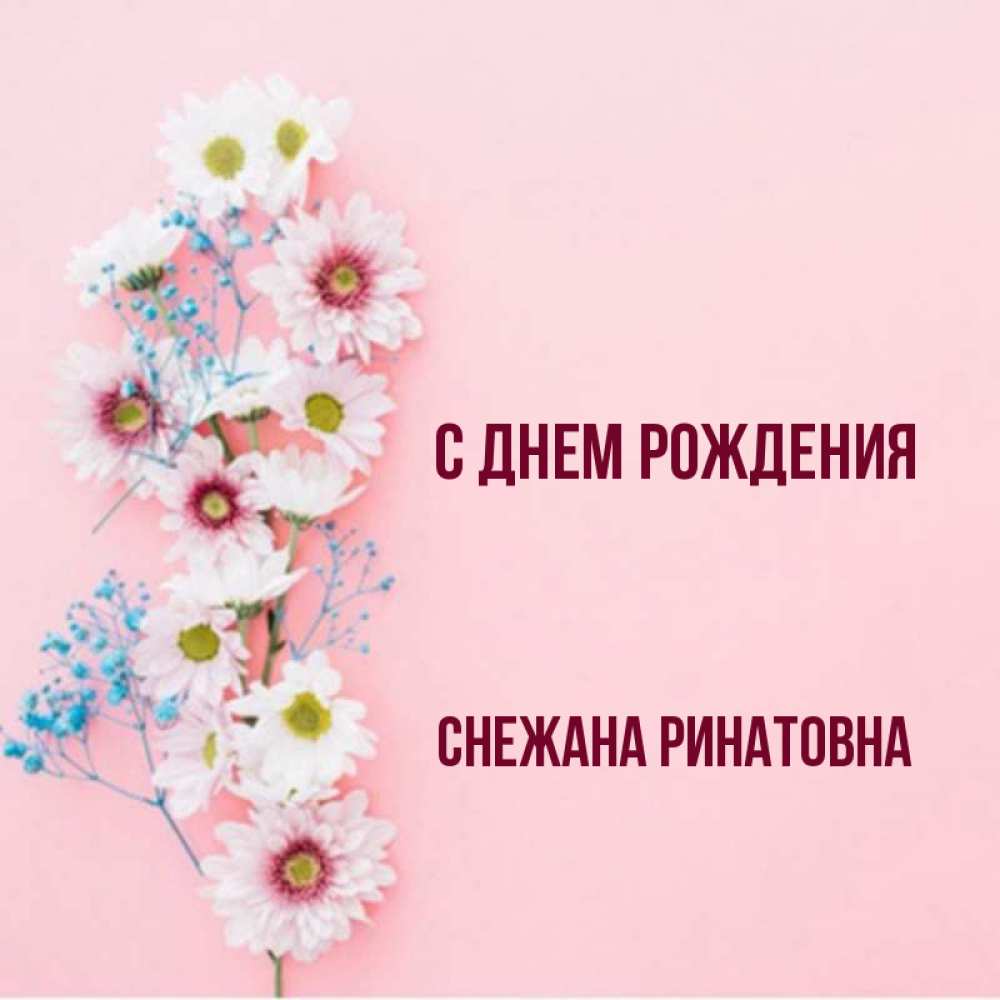 С днем рождения снежанна