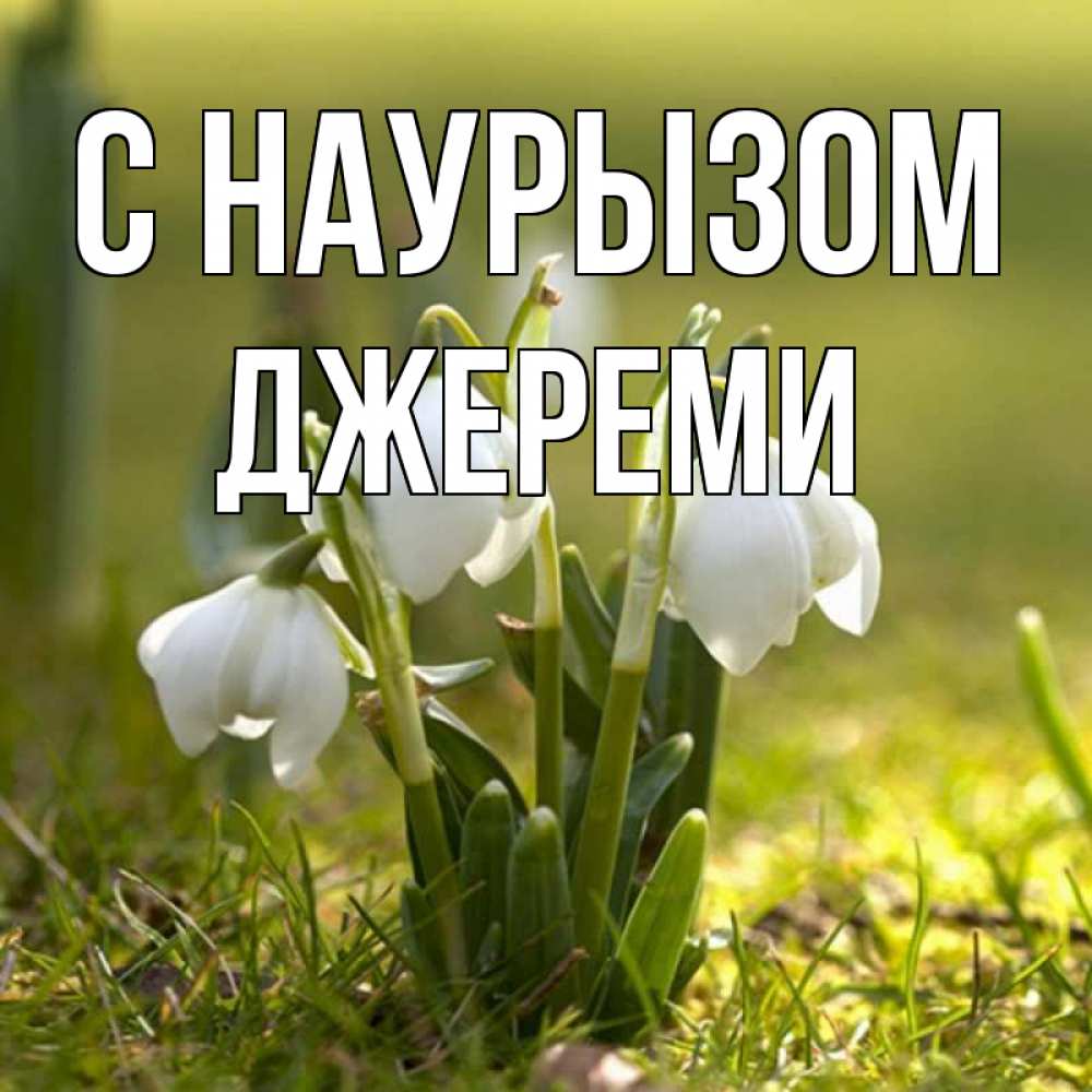 Открытка на каждый день с именем, Джереми С наурызом ранние цветы 2 Прикольная открытка с пожеланием онлайн скачать бесплатно 