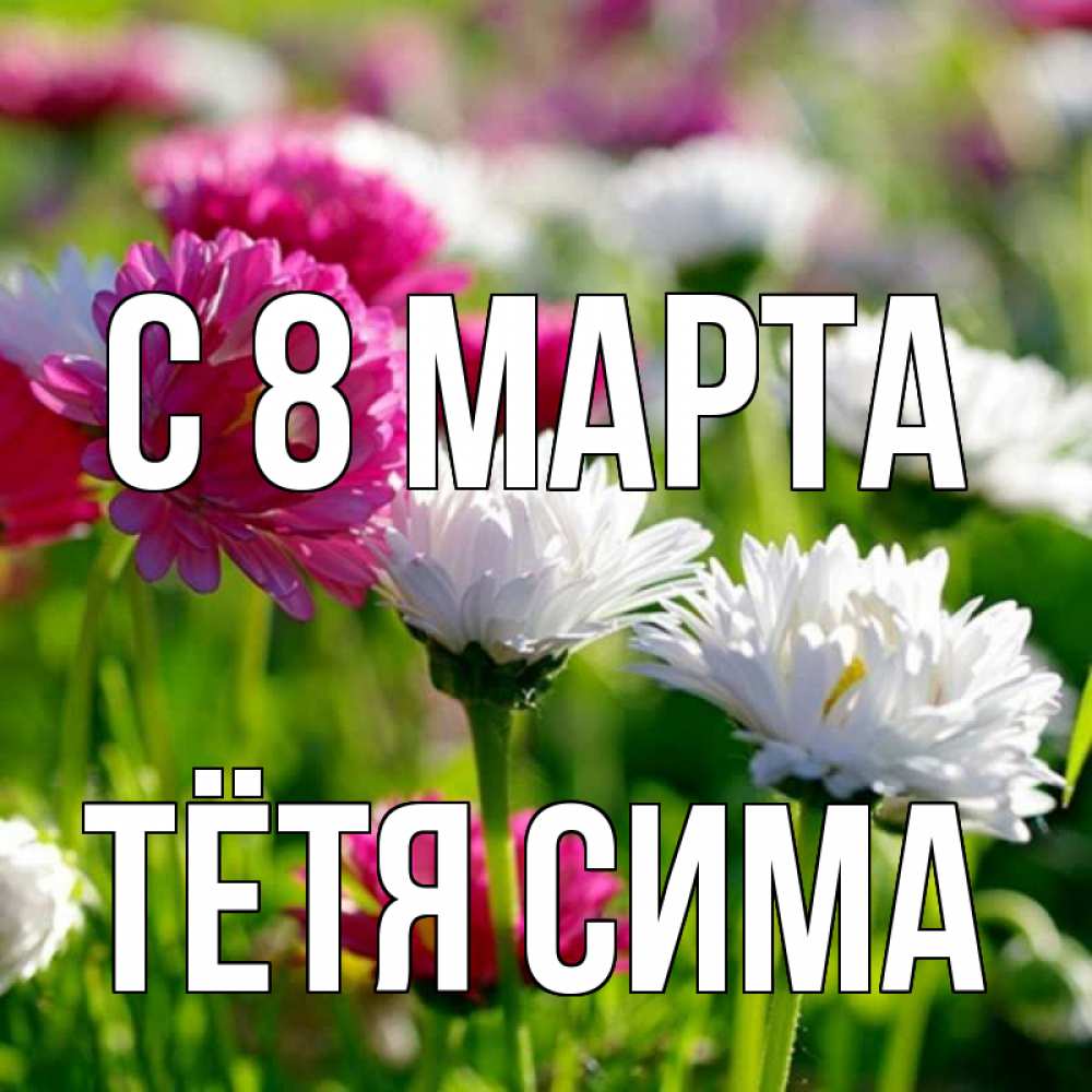Открытка на каждый день с именем, Тётя-Сима С 8 марта международный женский день 1 Прикольная открытка с пожеланием онлайн скачать бесплатно 