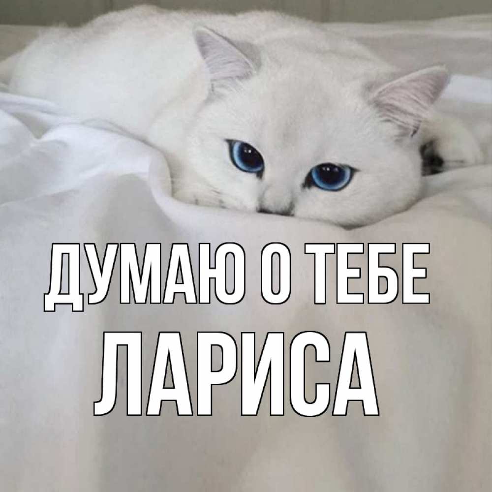 Картинка Думаю о тебе, лариса