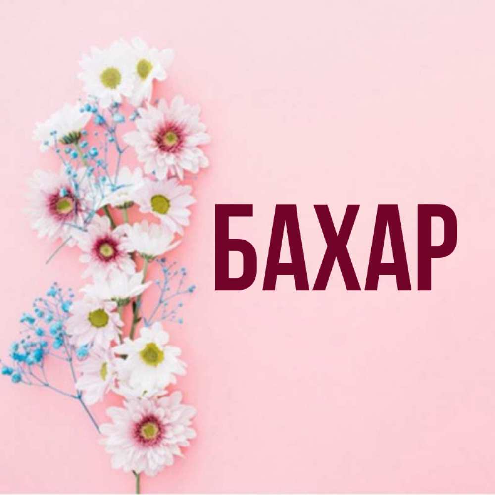 Открытка на каждый день с именем, Бахар Главная Родная моя с днем рождения тебя картинка с цветами белыми и голубыми Прикольная открытка с пожеланием онлайн скачать бесплатно 