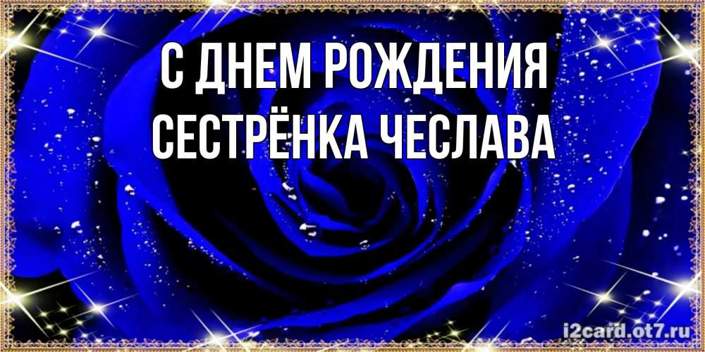 Открытка на каждый день с именем, Сестрёнка-Чеслава С днем рождения голубые цветы в росе Прикольная открытка с пожеланием онлайн скачать бесплатно 