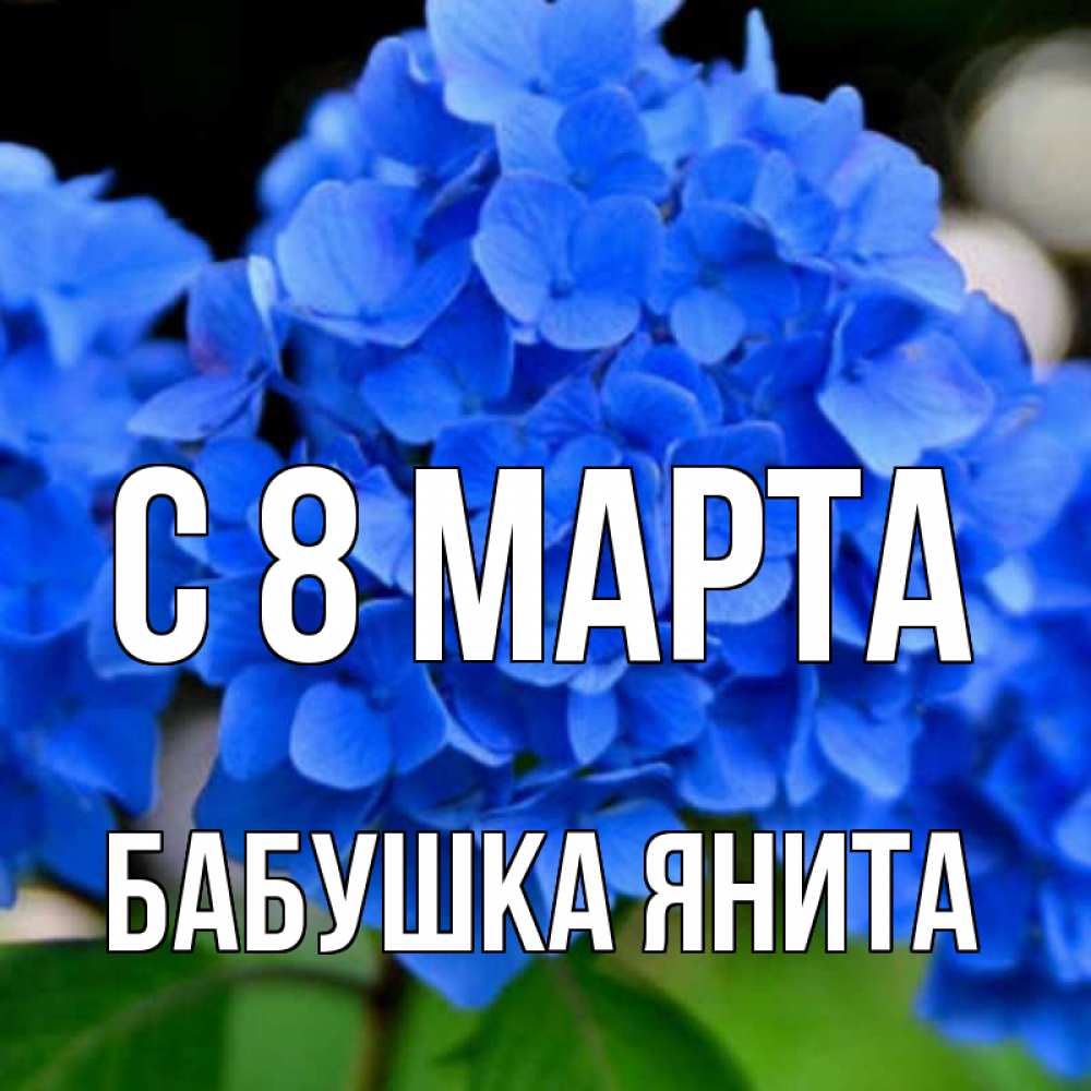 Открытка на каждый день с именем, Бабушка-Янита С 8 марта синие цветы Прикольная открытка с пожеланием онлайн скачать бесплатно 