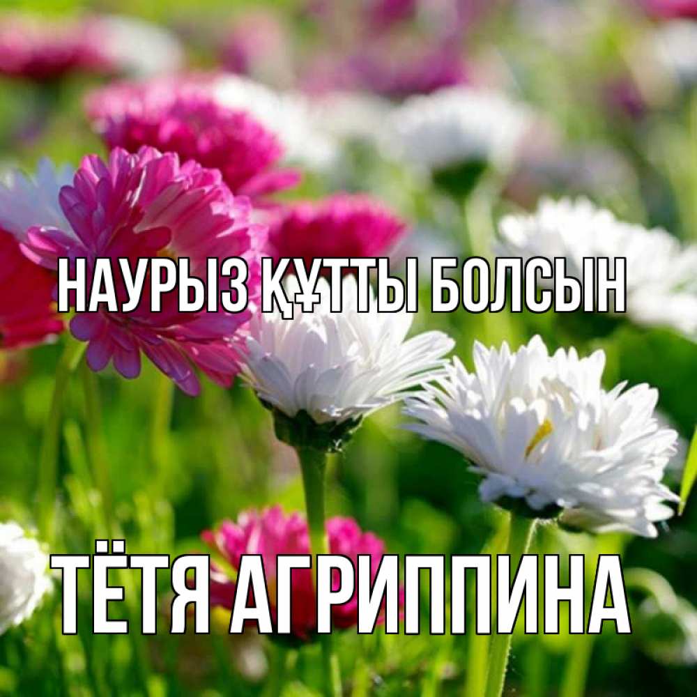 Открытка на каждый день с именем, Тётя-Агриппина Наурыз құтты болсын наурыз Прикольная открытка с пожеланием онлайн скачать бесплатно 