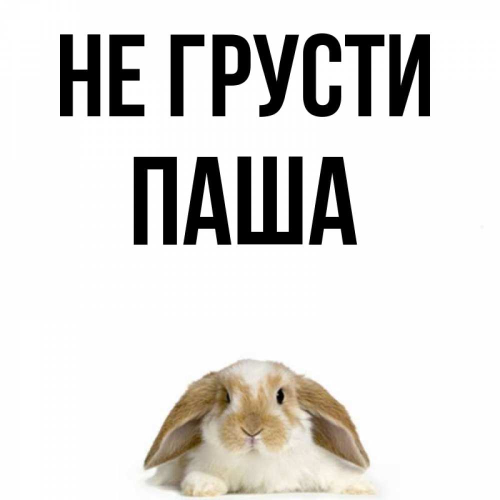 Для, картинки с надписью не грусти я рядом